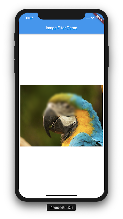 Flutter Image Filter