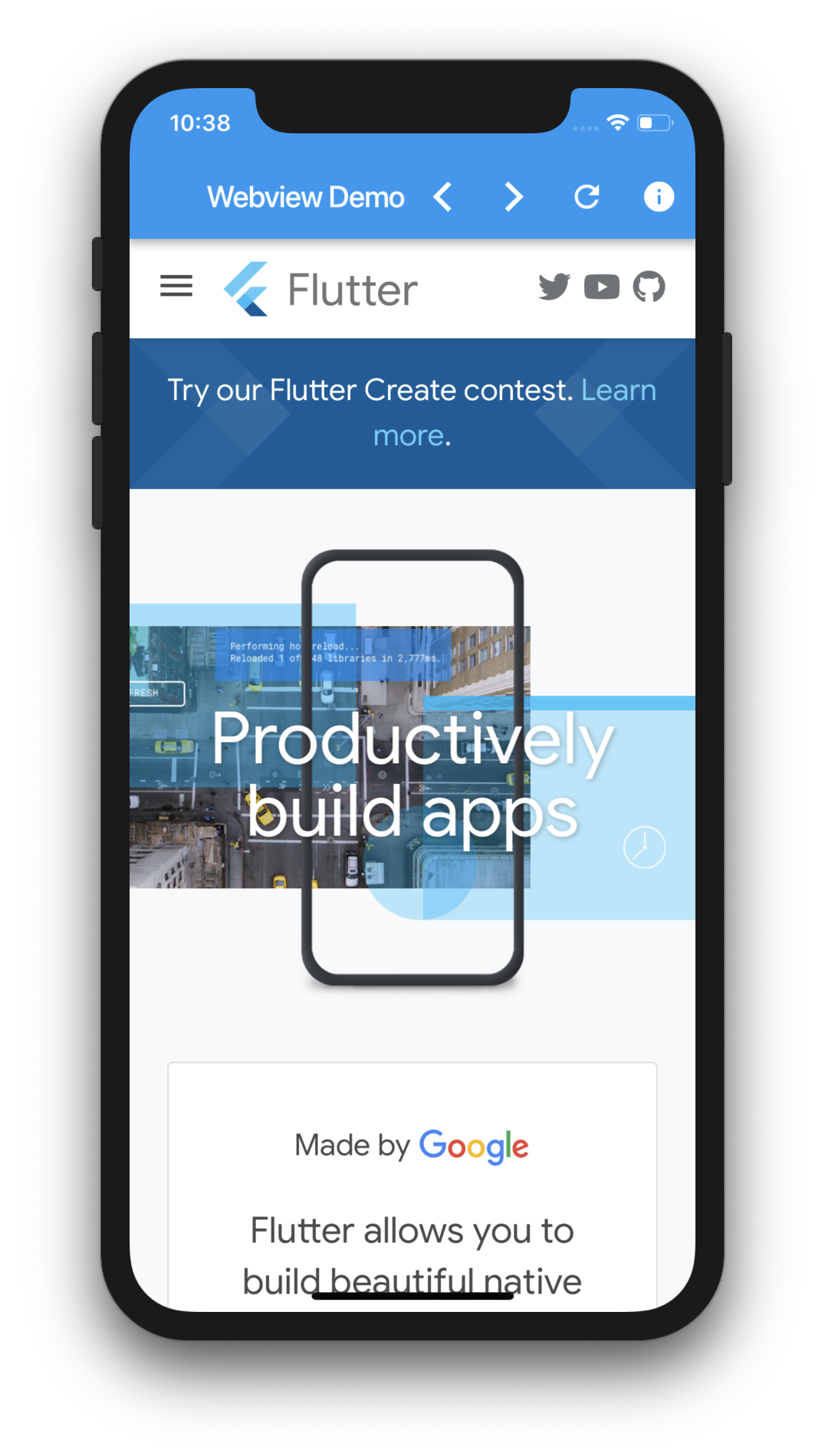 Webview Flutter