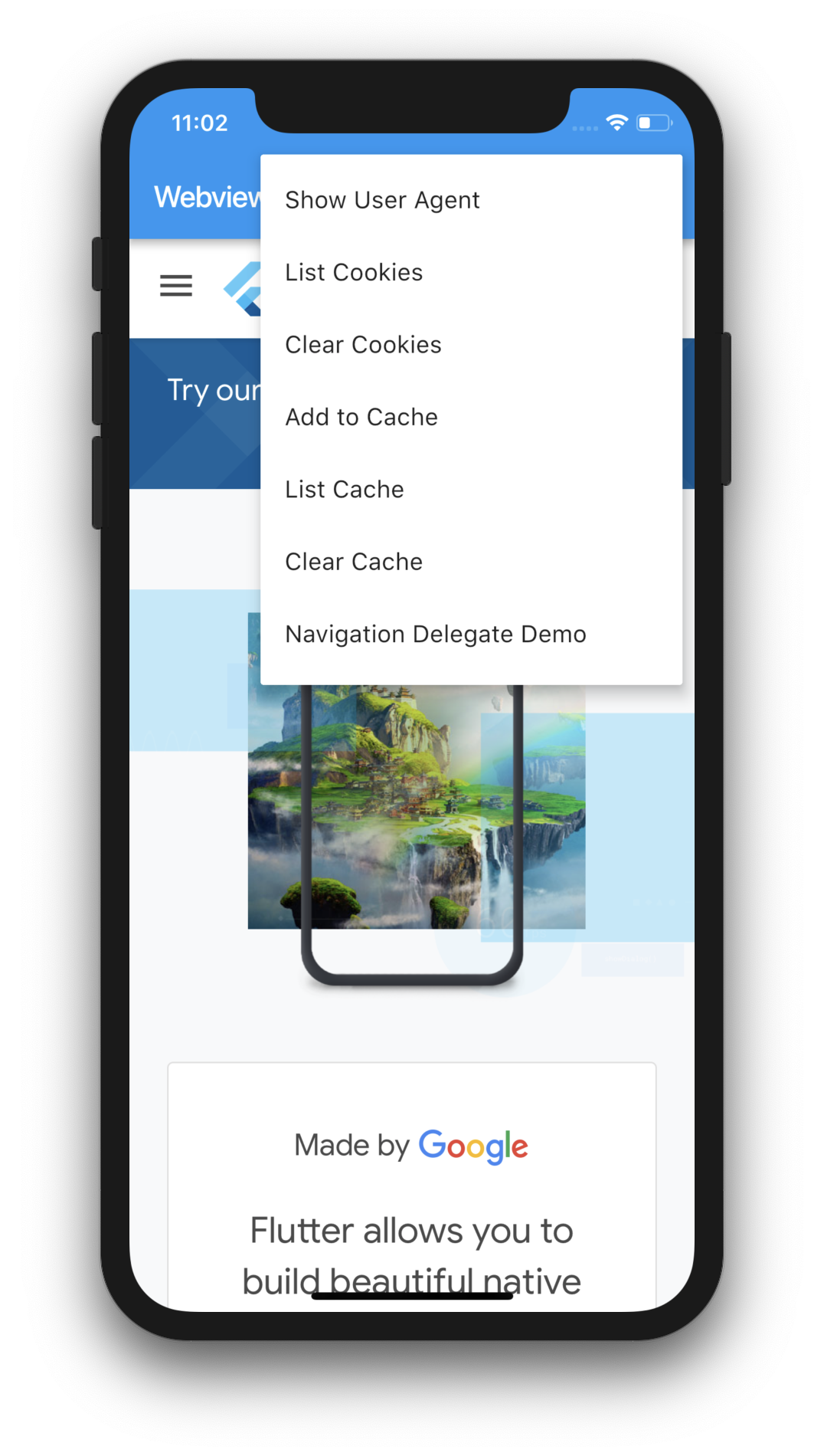 Webview Flutter