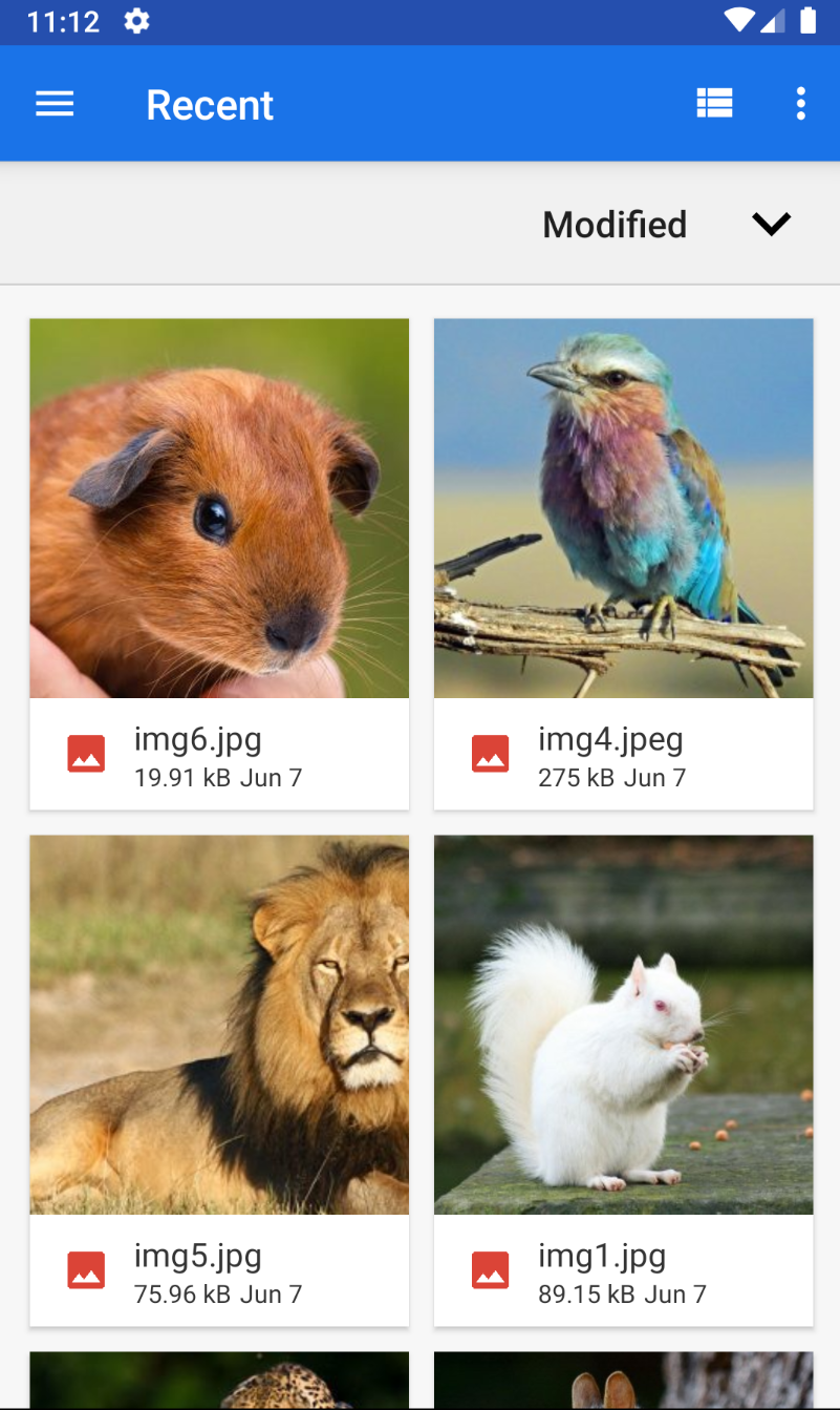 download file picker file